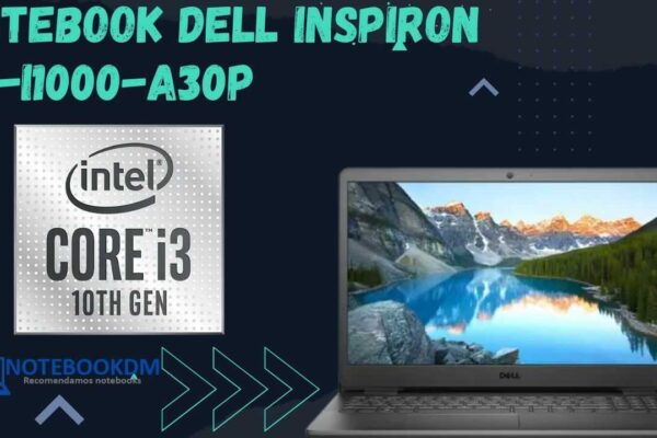 Notebook Dell Inspiron i15-i1000-A30P Com SSD de 256 GB + Intel Core I3 10ºGeração.