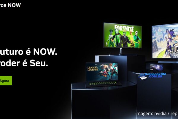 Como jogar sem Placa de vídeo Nvídia Geforce, AMD ou Intel ARK. ​