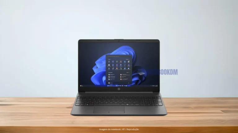 Notebook HP 256R G9 AY6Z4LA: Intermediário para trabalho